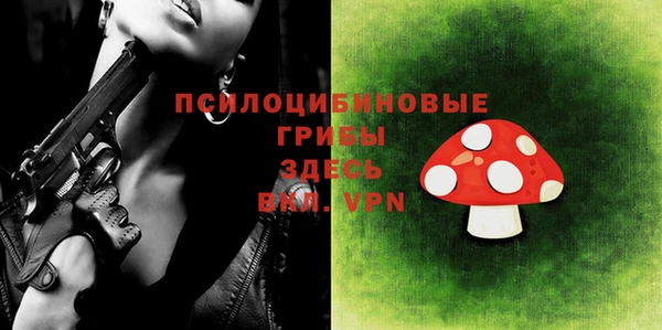 эйфоретик Богородицк